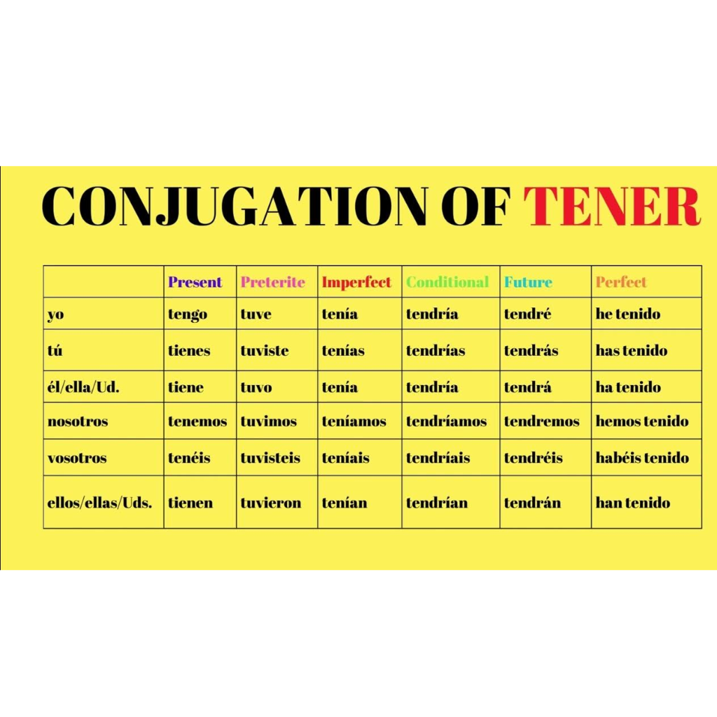Tener verb conjuation