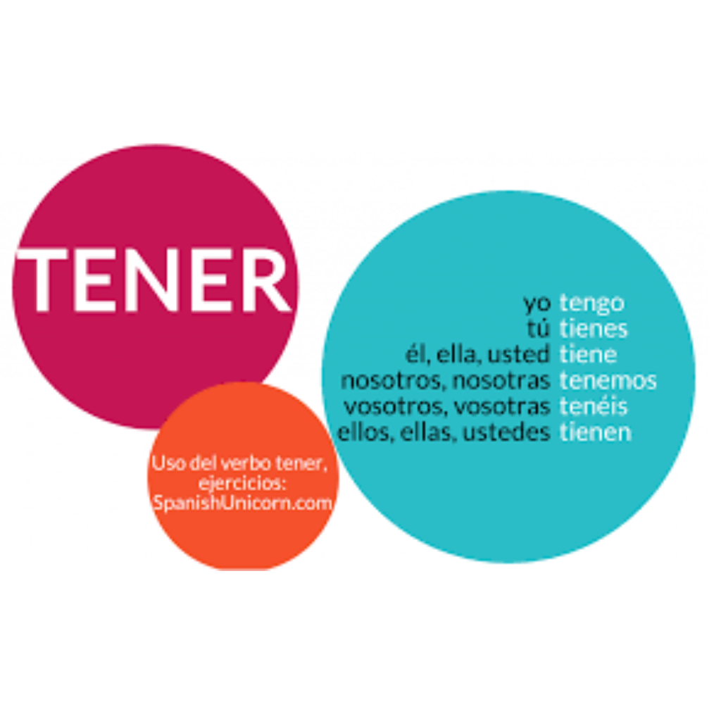 Tener verb